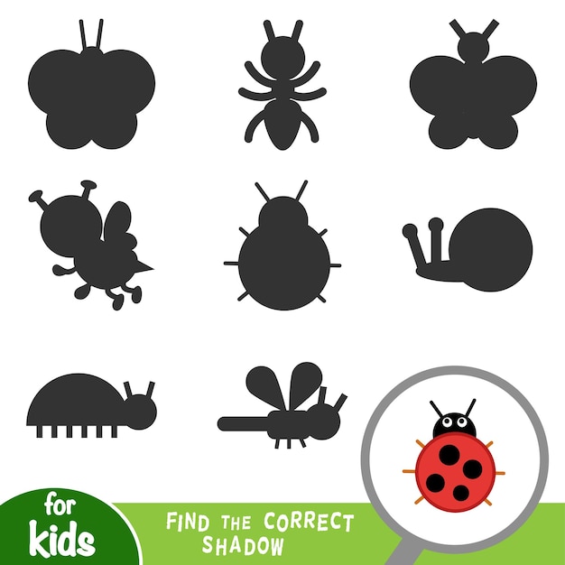 Encuentra el juego educativo de sombras correcto para niños ladybug