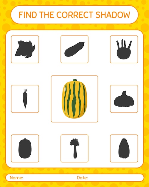 Encuentra el juego de sombras correcto con delicata squash. hoja de trabajo para niños en edad preescolar, hoja de actividades para niños