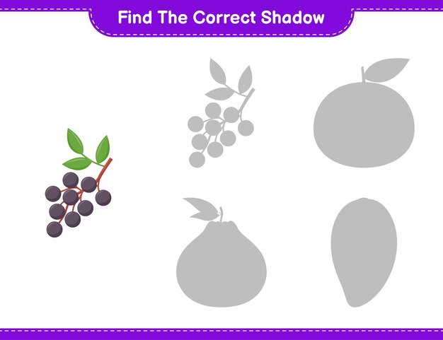 Encuentra la sombra correcta. Encuentra y combina la sombra correcta de Elderberry. Juego educativo para niños, hoja de trabajo imprimible
