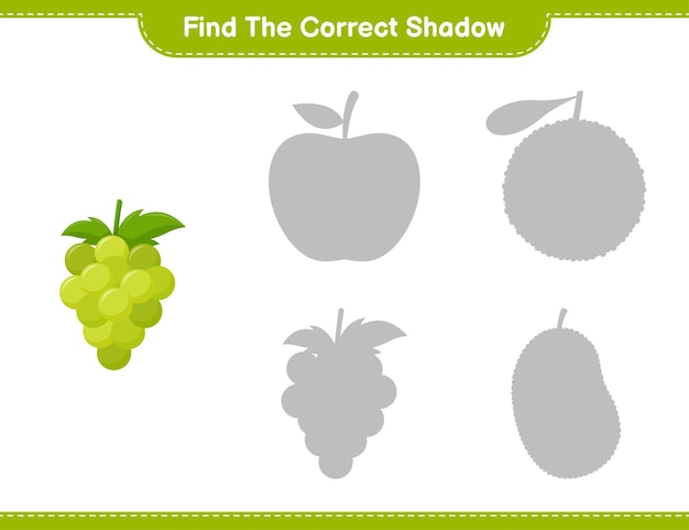 Encuentra la sombra correcta. Encuentra y combina la sombra correcta de Grape. Juego educativo para niños, hoja de trabajo imprimible