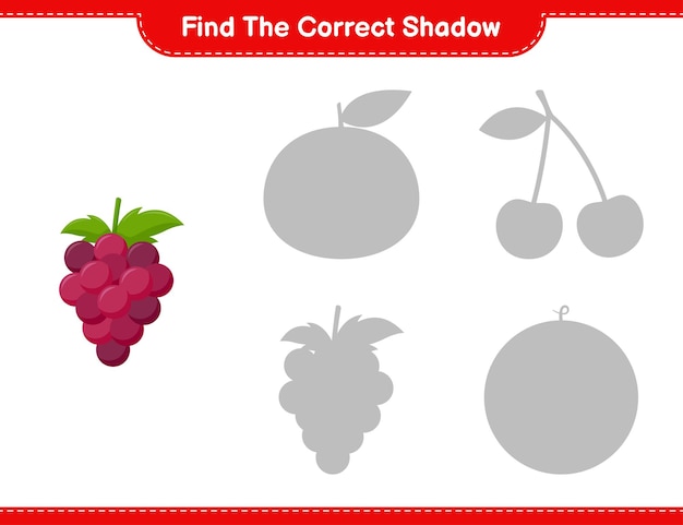 Encuentra la sombra correcta. Encuentra y combina la sombra correcta de Grape. Juego educativo para niños, hoja de trabajo imprimible