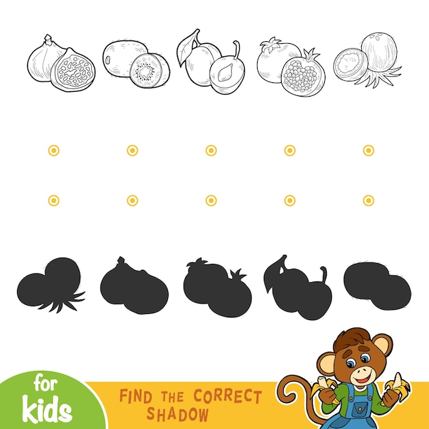 Encuentra la sombra correcta, juego educativo para niños. Frutas blancas y negras