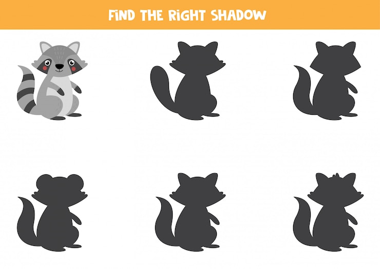 Vector encuentra la sombra correcta de mapache. juego educativo para niños.