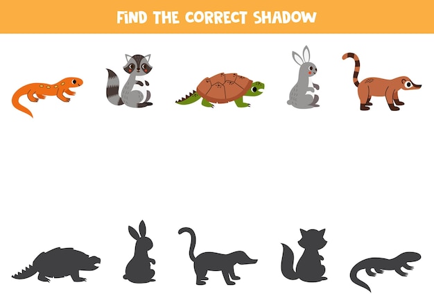Encuentra sombras de simpáticos animales norteamericanos Juego lógico educativo para niños