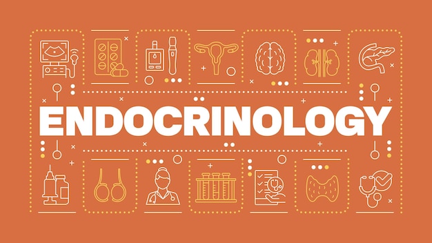 Endocrinología concepto de la palabra naranja oscuro
