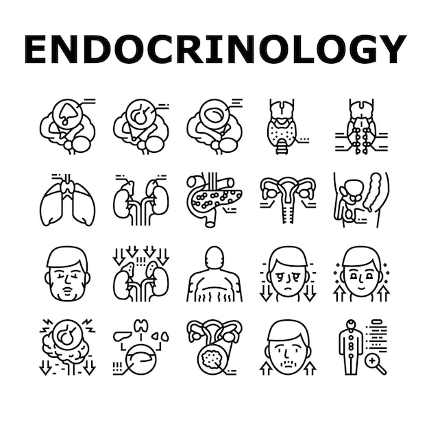Endocrinología Enfermedad médica Iconos Vector de conjunto