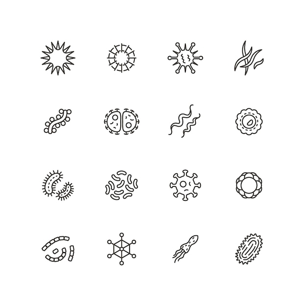 Vector enfermedad de bacilos, microbios, virus y microorganismos línea iconos. vector de contorno de higiene e infección bacteriología aislado