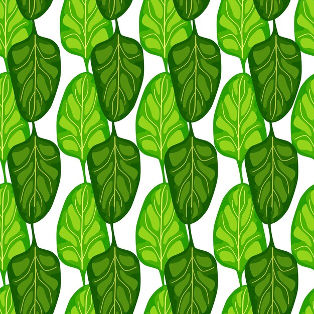 Ensalada de espinacas de patrones sin fisuras sobre fondo blanco. Adorno moderno con lechuga. Plantilla de planta geométrica para tela. Ilustración de vector de diseño.