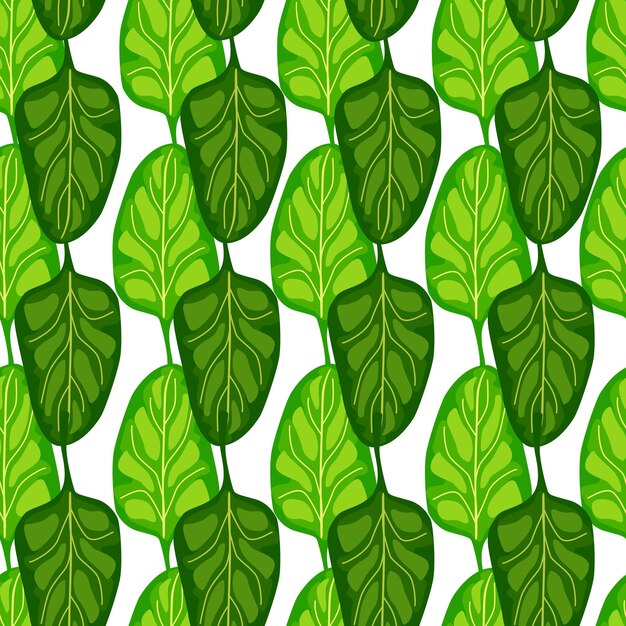 Ensalada de espinacas de patrones sin fisuras sobre fondo blanco. adorno moderno con lechuga. plantilla de planta geométrica para tela. ilustración de vector de diseño.