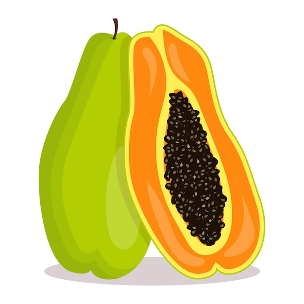 entera y la mitad de papaya verde fruta tropical en estilo plano