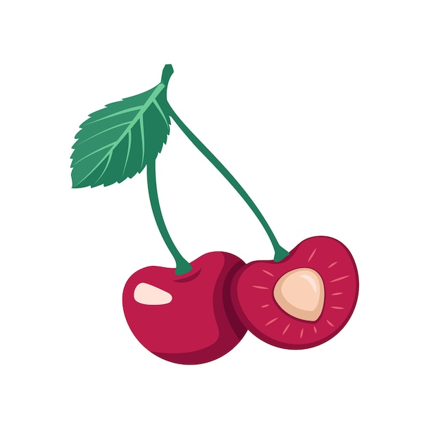 Entero y medio con cereza de hueso en rama Baya moderna brillante con hojas Ilustración de comida plana vectorial
