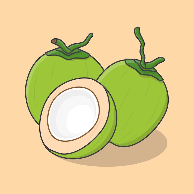 Entero y la mitad de la ilustración vectorial de dibujos animados de coco verde Contorno de icono plano de coco fresco