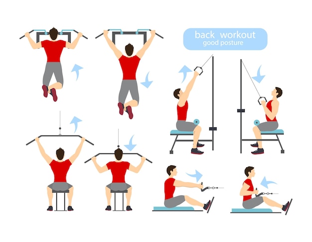 Vector entrenamiento de espalda sobre fondo blanco ejercicios para hombres entrenamiento duro