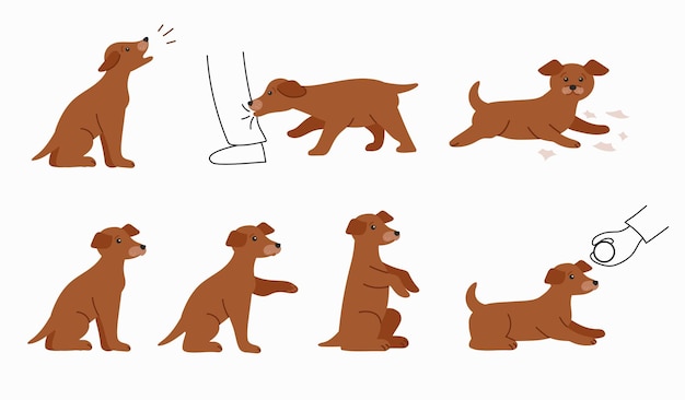 Entrenamiento de perros jóvenes Mal y buen comportamiento del cachorro la ejecución de comandos