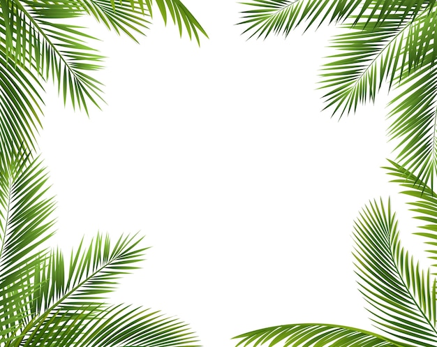 ePalmTreeFrameIsoladoBlanco de fondo_10_M_250327