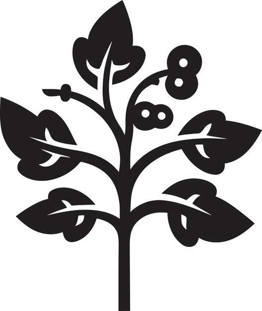 Vector equilibrio botánico iconic ivy oak imagen naturalezas tapiz ivy oak emblema vectorial