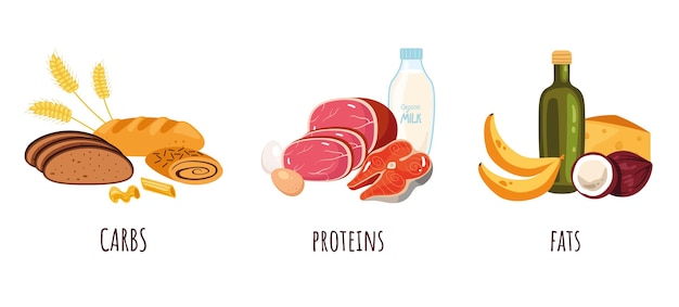 Equilibrio de macronutrientes alimentos dieta nutrición fibra carbohidratos proteínas complejo concepto aislado