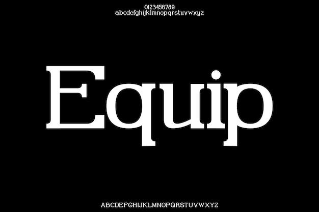 Equipo de lujo Diseño de fuentes creativas vectoriales serif alfabéticos