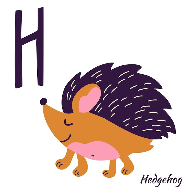 Erizo. Alfabeto animal. Aprender la letra H. H es para erizo. Dibujar a mano animales del bosque en estilo escandinavo. Serie del alfabeto AZ. Ilustración de dibujos animados de vector para el alfabeto de los niños.
