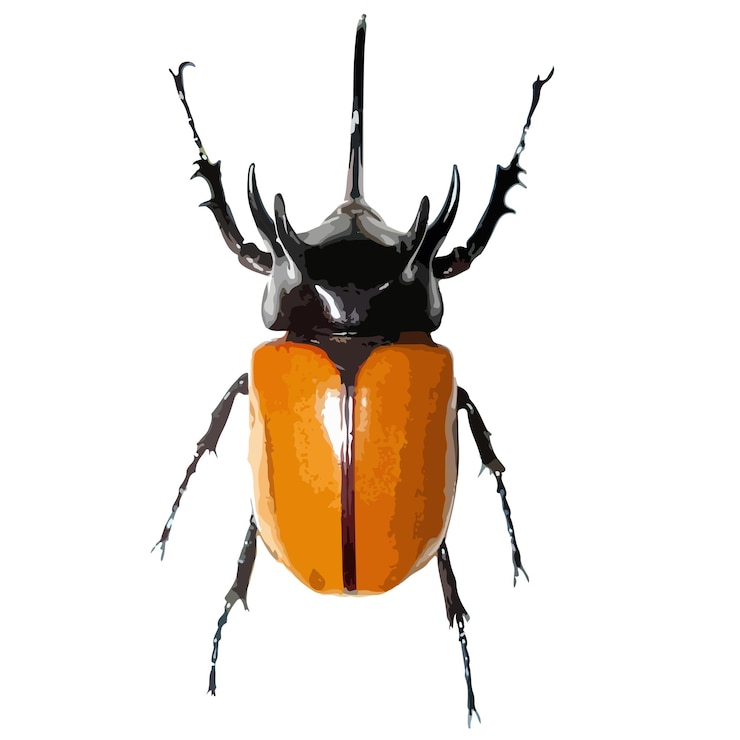 Vector errores gráficos dibujados a mano. vector.
