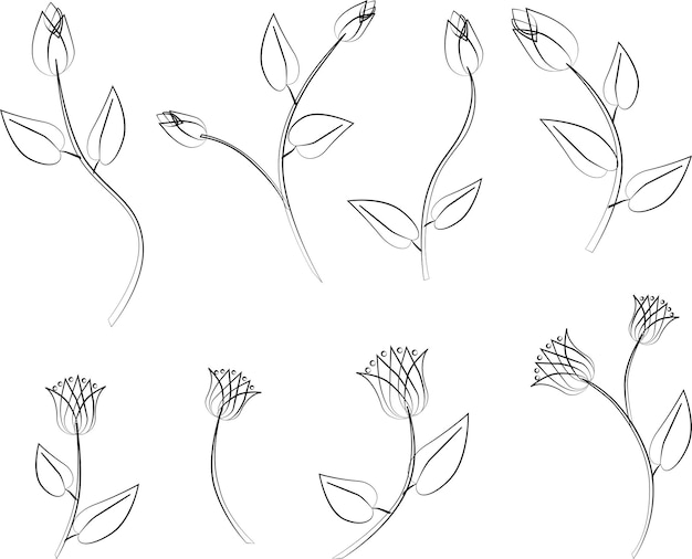 Esbozar dibujos vectoriales de rosas y tulipanes abstractos decorativos