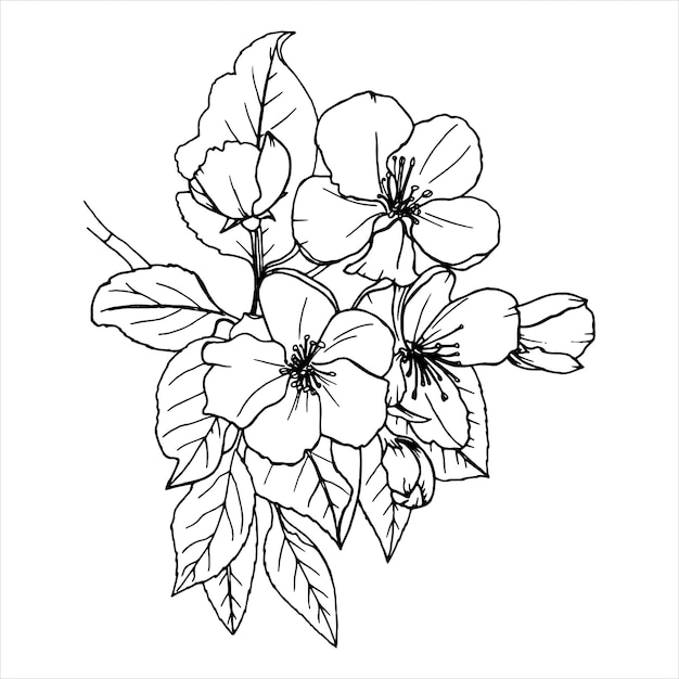 Esbozo de árbol en flor en vector Ramas en flor de primavera Rama de sakura dibujada a mano con flores en estilo de arte de línea Vector minimalista ilustración botánica aislada en color negro