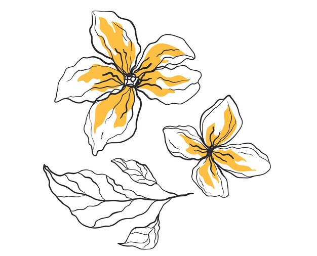 Esbozo de arte de contorno de flores aislado en fondo blanco Ilustración de diseño gráfico vectorial