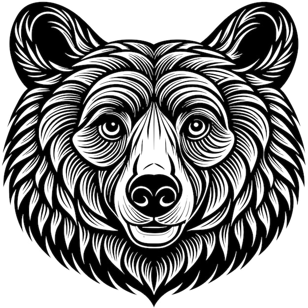 Esbozo de la cara de un oso con dibujo de trazo negro