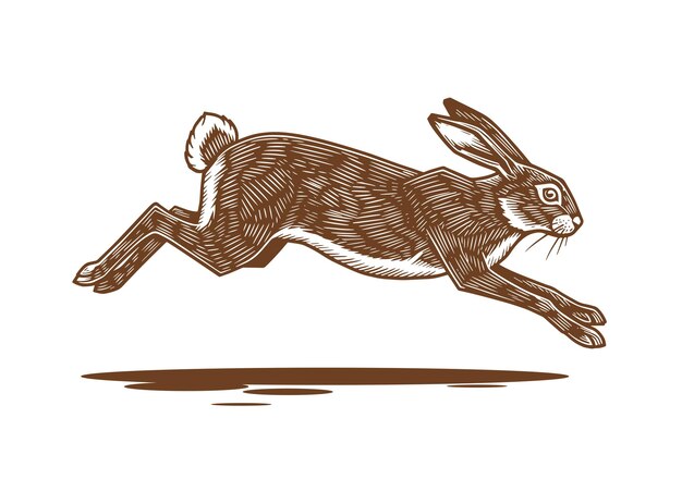 Esbozo de conejo Impresión retro vintage negro blanco conejo salvaje dibujo de conejo boceto dibujo a lápiz con tinta grabado estilo de la vieja escuela Esbozo obra de arte silueta de conejo salvaja conejo vectorial Ilustración