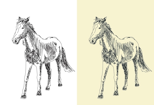 Esbozo dibujado a mano de un caballo