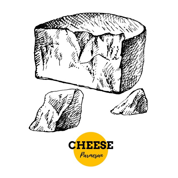 Esbozo dibujado a mano de queso parmesano de fondo ilustración vectorial de alimentos lácteos naturales