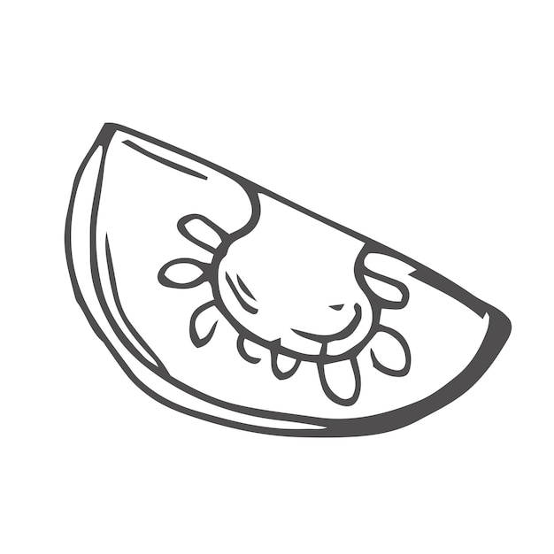 Esbozo dibujado a mano de una rodaja de tomate Doodle