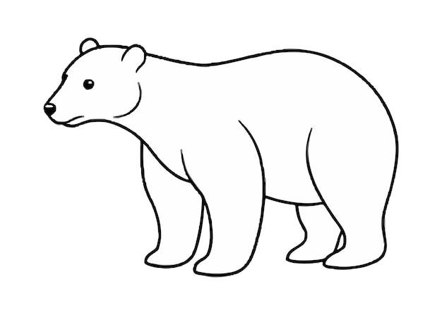esbozo del diseño de la ilustración vectorial del oso polar