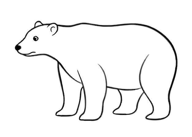 esbozo del diseño de la ilustración vectorial del oso polar