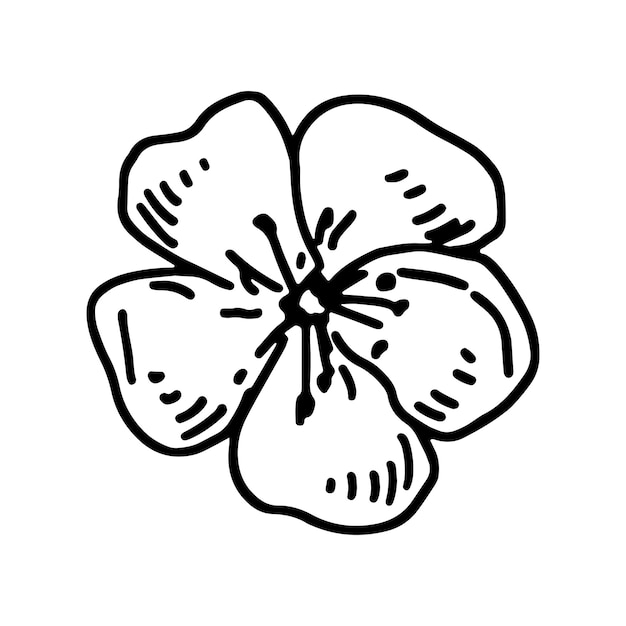 Esbozo de la flor del cerezo Clipart botánico de la primavera Ilustración vectorial dibujada a mano aislada sobre fondo blanco