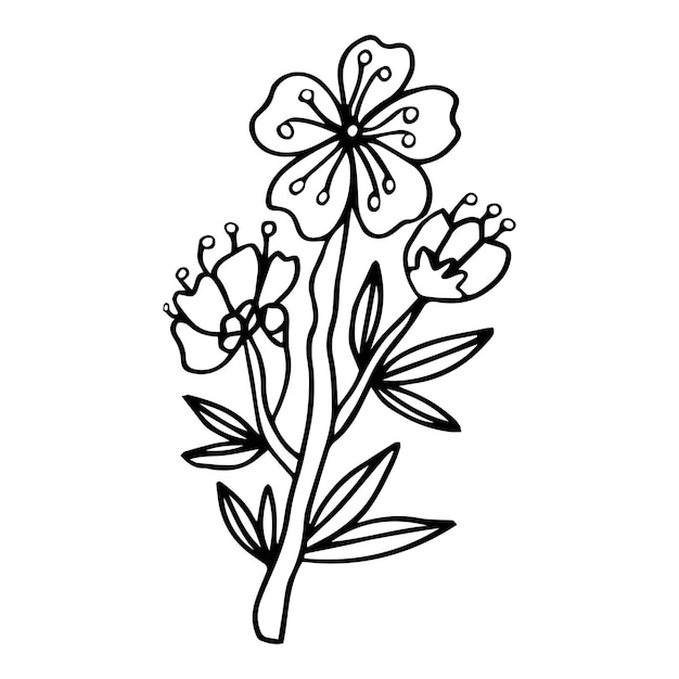 Esbozo de flores primaverales de membrillo, almendra, ramas de manzano con capullos y flores.