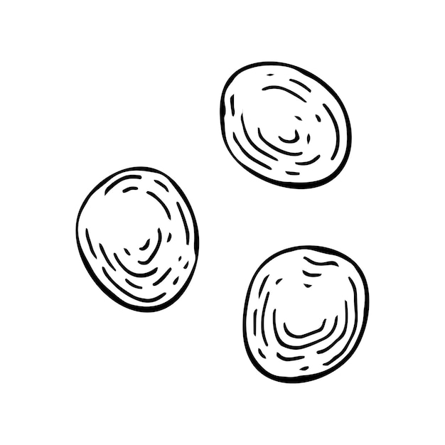 Esbozo de grageas de chocolate Dulces dulces Dulces con relleno de nueces pasas Producto de cacao en grano Ilustración de garabatos vectoriales dibujados a mano