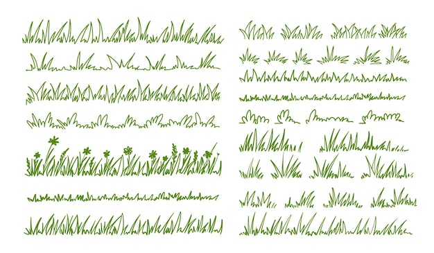 Esbozo de hierba Plantas de hierba Doodle Contorno dibujado a mano silueta de hierba silvestre Campo de frontera Manantiales jardín césped flores hierbas arbusto Vector patrón de prado conjunto