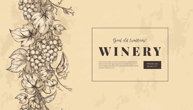 Esbozo de hojas de uva grabado estandarte de bodega etiqueta de barra horizontal patrón elegante textura decorativa cartel con espacio para copiar fruta natural dibujada a mano diseño vectorial fondo vintage