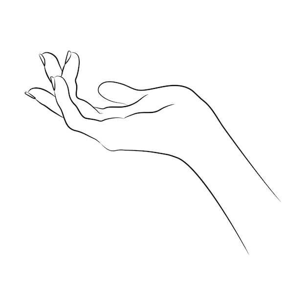 Esbozo lineal de una mano humana en un gesto elegante