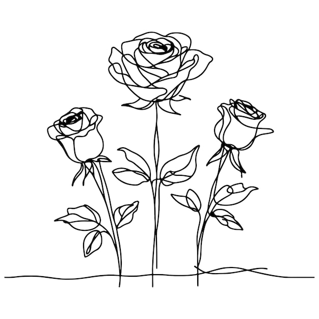 Vector esbozo lineal de las tres rosas