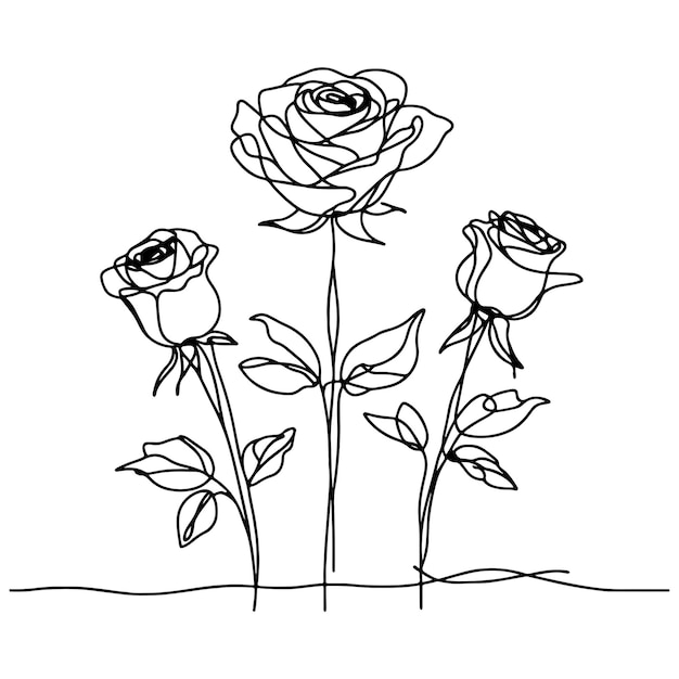 Esbozo lineal de las tres rosas