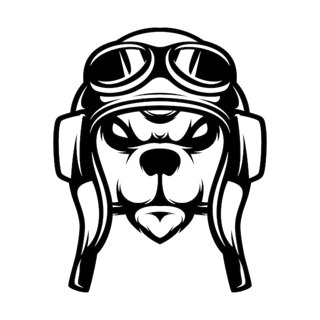 Esbozo del oso piloto