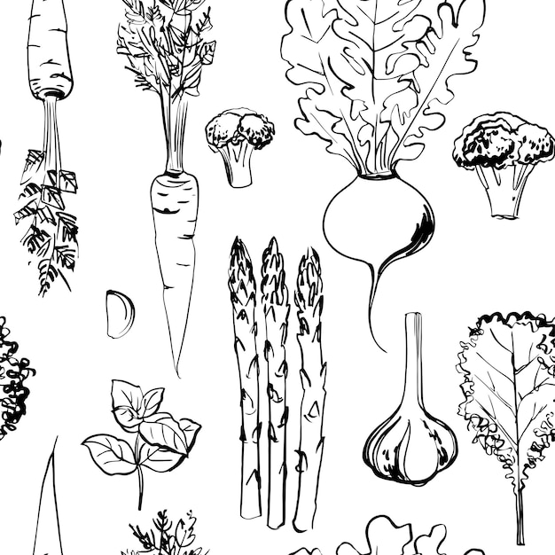 Esbozo de patrón vectorial de verduras. Dibujo a color de la comida. brócoli, lechuga, alcachofa, hierbas