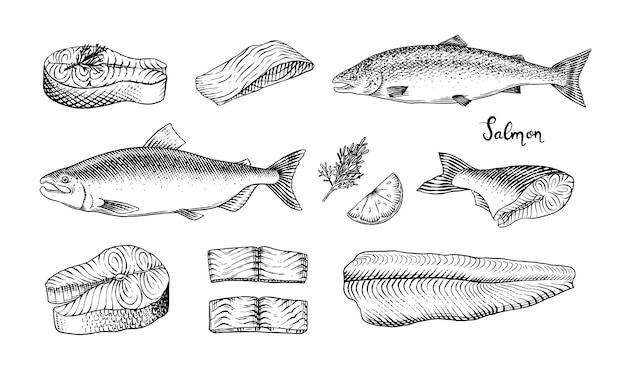 Esbozo de pescado filete de salmón tinta dibujada a mano ilustración vectorial filetes de filetes producto fresco grabado