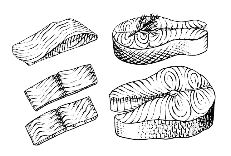 Vector esbozo de pescado filete de salmón tinta dibujada a mano ilustración vectorial filetes de filetes producto fresco grabado