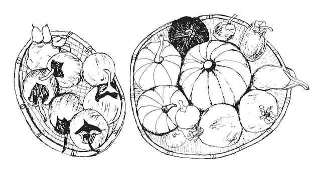 Vector esbozo de un plato de ratán con calabaza y berenjena