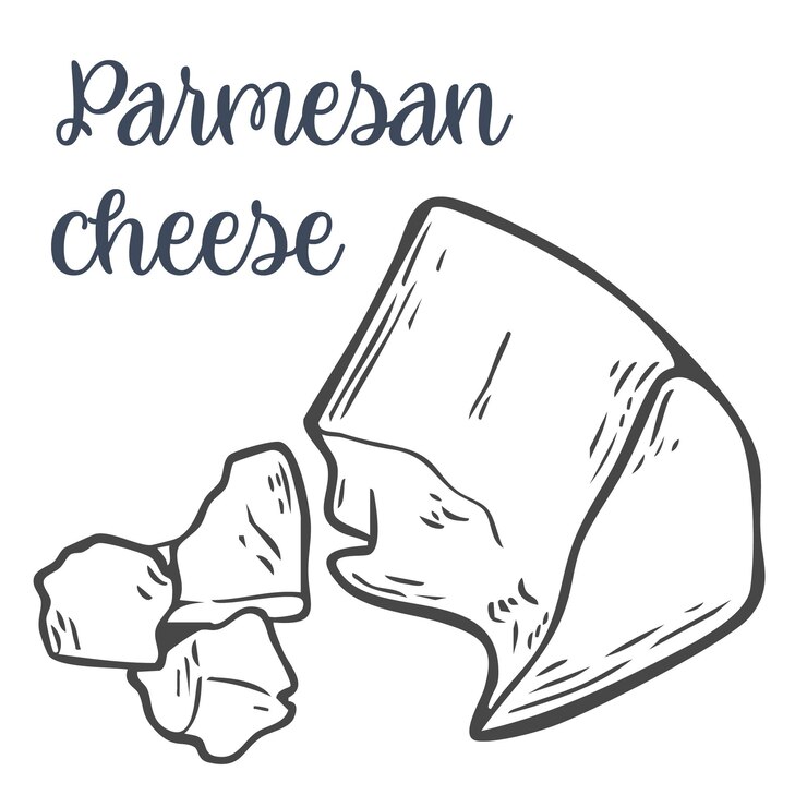 Vector esbozo de queso parmesano, ilustración dibujada a mano