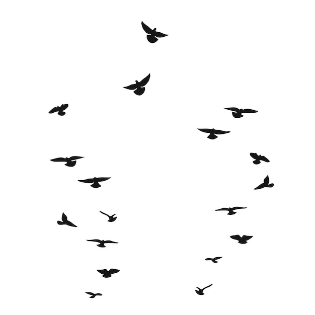 Esbozo de la silueta de una bandada de pájaros negros voladores Palomas palomas cuervo gaviota gaviota gorrión