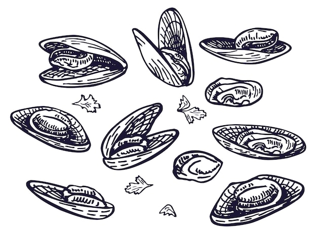Esbozo de tinta de mejillones Mariscos un conjunto de plantillas para el diseño de menús, envases de restaurantes y restauración de estilo retro